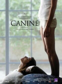 Affiche du film Canine (2009) de Yórgos Lánthimos.