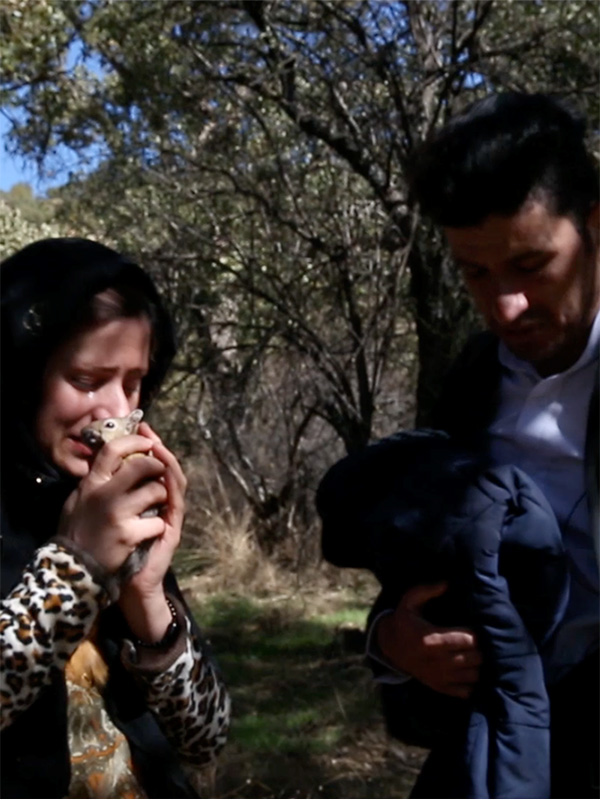 Affiche du court métrage Car Wash (2019) de Mohsen Sakha. Voir Car Wash en streaming / torrent sur meilleurs-films.fr