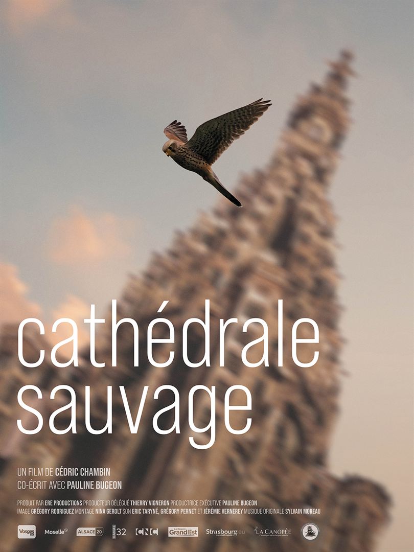 Affiche du film Cathédrale Sauvage (2022) de Cédric Chambin Affiche du film Cathédrale Sauvage (2022) de Cédric Chambin. Voir Cathédrale Sauvage en streaming / torrent sur meilleurs-films.fr