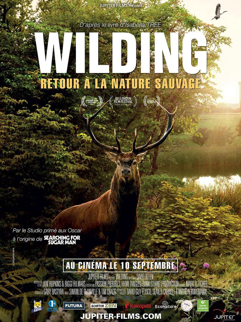 Affiche du film Wilding