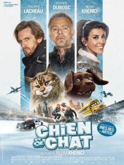 Affiche du film Chien et Chat (2023) de Reem Kherici.