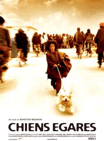 Affiche du film Chiens égarés (2004) de Marzieh Meshkini. Voir Chiens égarés en streaming / torrent sur meilleurs-films.fr