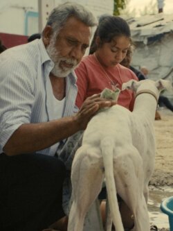 Affiche du film Ciudad sin sueño (2025) de