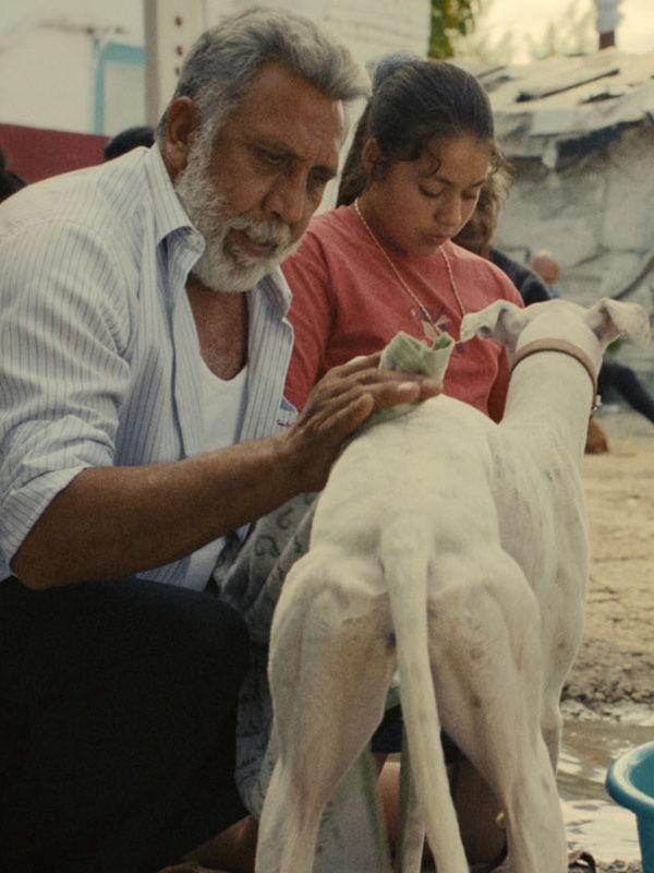 Affiche du film Ciudad sin sueño (2025) de . Voir Ciudad sin sueño en streaming / torrent sur meilleurs-films.fr