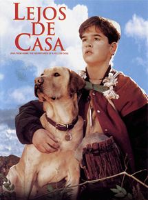 Affiche du film Compagnons d’aventure (1995) de Phillip Borsos. Voir Compagnons d’aventure en streaming / torrent sur meilleurs-films.fr