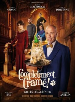 Affiche du film Complètement cramé ! (2022) de Gilles Legardinier.