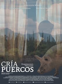 Affiche du film Cría puercos (2018) de Affiche du film Cría puercos (2018) de . Voir Cría puercos en streaming / torrent sur meilleurs-films.fr