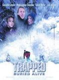 Affiche du film Danger: avalanche ! (2002) de Doug Campbell. Voir Danger: avalanche ! en streaming / torrent sur meilleurs-films.fr