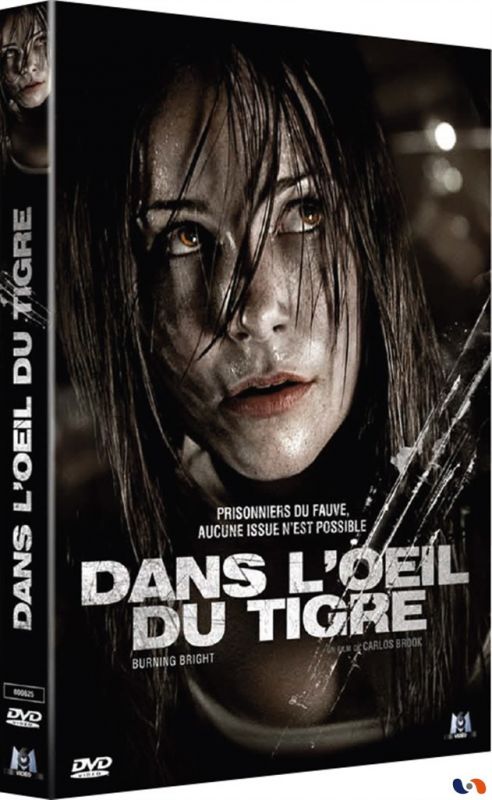 Affiche du film Dans l’oeil du tigre (2010) de Carlos Brooks. Voir Dans l’oeil du tigre en streaming / torrent sur meilleurs-films.fr