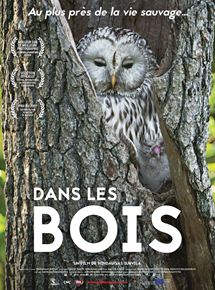 Affiche du film Dans les bois (2017) de Mindaugas Survila Affiche du film Dans les bois (2017) de Mindaugas Survila. Voir Dans les bois en streaming / torrent sur meilleurs-films.fr