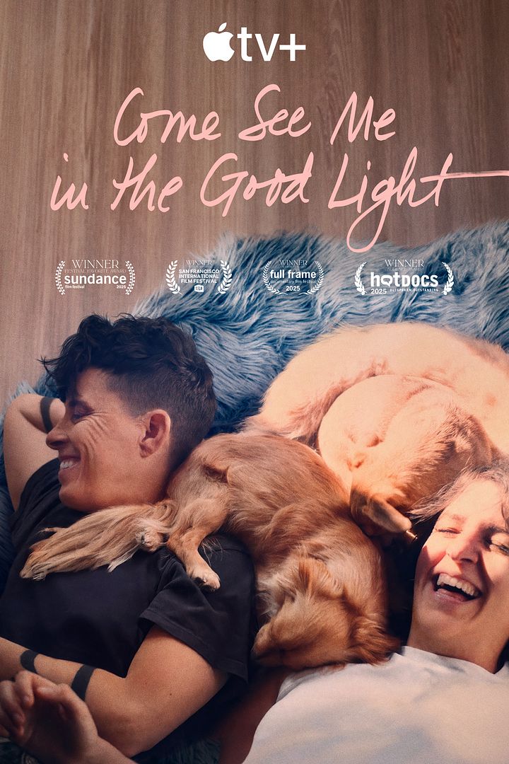 Affiche du film Come See Me In The Good Light (2025) de Ryan White. Voir Come See Me In The Good Light en streaming / torrent sur meilleurs-films.fr