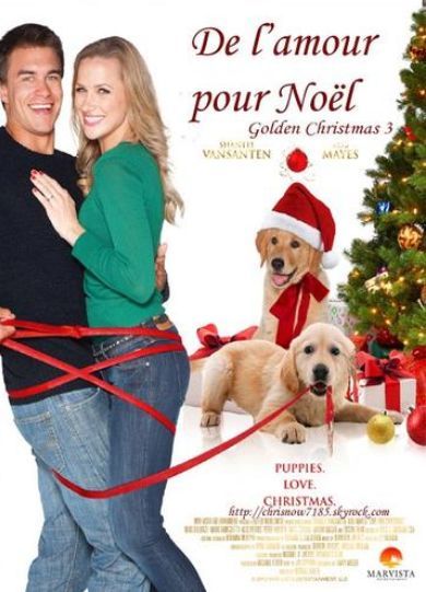 Affiche du film De l’amour pour Noël (2012) de Michael Feifer. Voir De l’amour pour Noël en streaming / torrent sur meilleurs-films.fr