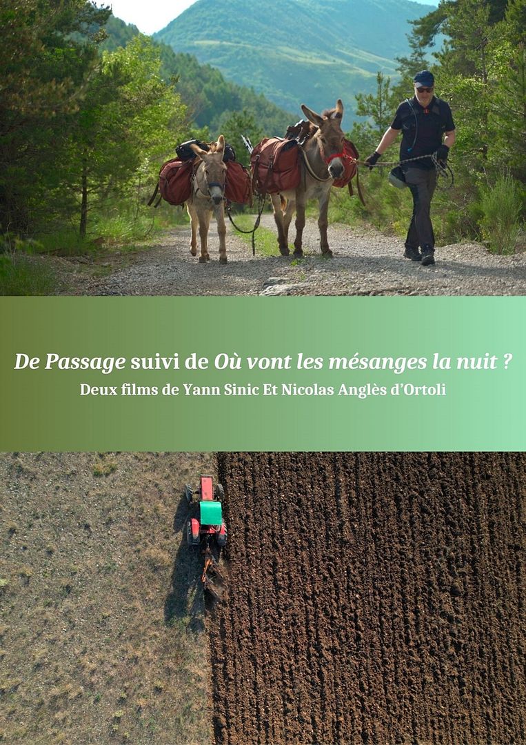 Affiche du film De Passage + Où vont les mésanges la nuit ? (2024) de . Voir De Passage + Où vont les mésanges la nuit ? en streaming / torrent sur meilleurs-films.fr