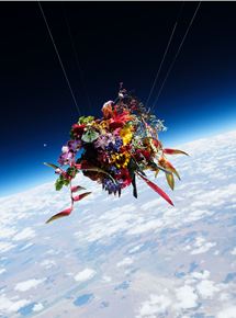 Affiche du film Deep Flowers (2017) de Ophélie Giomataris. Voir Deep Flowers en streaming / torrent sur meilleurs-films.fr