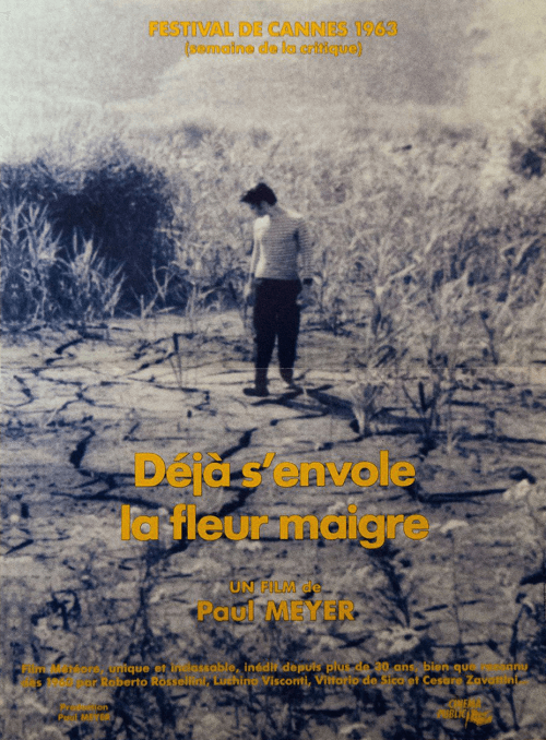 Affiche du film Deja s’envole la fleur maigre (1961) de Paul Meyer Affiche du film Deja s’envole la fleur maigre (1961) de Paul Meyer. Voir Deja s’envole la fleur maigre en streaming / torrent sur meilleurs-films.fr