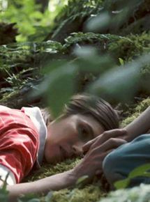 Affiche du film Der traumhafte Weg (2016) de Angela Schanelec. Voir Der traumhafte Weg en streaming / torrent sur meilleurs-films.fr