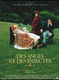 Affiche du film Des anges et des insectes (1995) de Philip Haas Affiche du film Des anges et des insectes (1995) de Philip Haas. Voir Des anges et des insectes en streaming / torrent sur meilleurs-films.fr