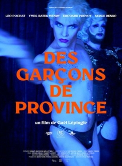 Affiche du film Des garçons de province (2023) de Gaël Lépingle & Michaël Dacheux.