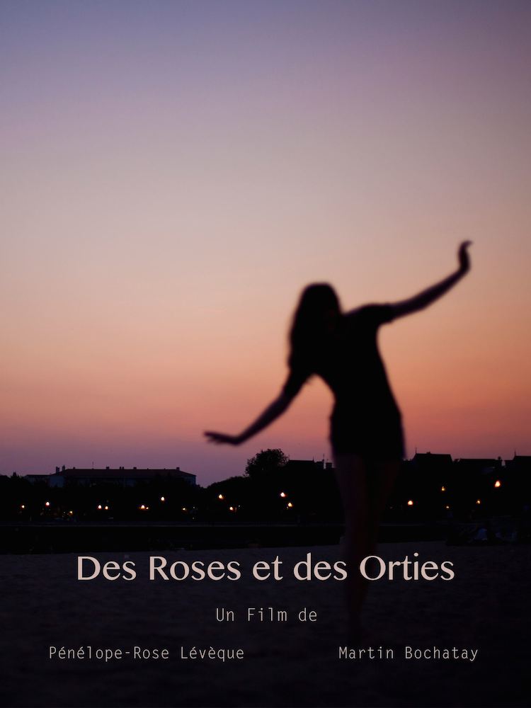 Affiche du court métrage Des Roses et Des Orties (2014) de Martin Bochatay. Voir Des Roses et Des Orties en streaming / torrent sur meilleurs-films.fr