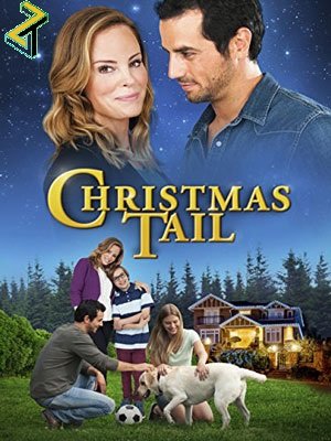 Affiche du film Deux foyers pour Noël (2014) de Elias Underhill. Voir Deux foyers pour Noël en streaming / torrent sur meilleurs-films.fr