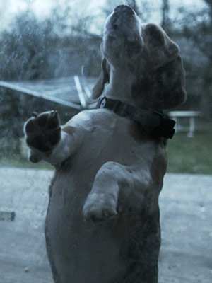 Affiche du court métrage Dimanches () de Valéry Rosier. Voir Dimanches en streaming / torrent sur meilleurs-films.fr