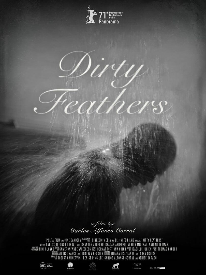 Affiche du film Dirty Feathers (2026) de Carlos Alfonso Corral,. Voir Dirty Feathers en streaming / torrent sur meilleurs-films.fr