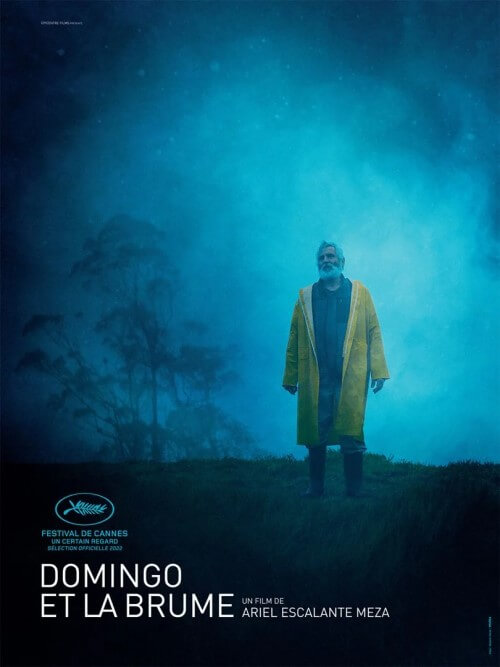 Affiche du film Domingo et la brume (2023) de Ariel Escalante. Voir Domingo et la brume en streaming / torrent sur meilleurs-films.fr