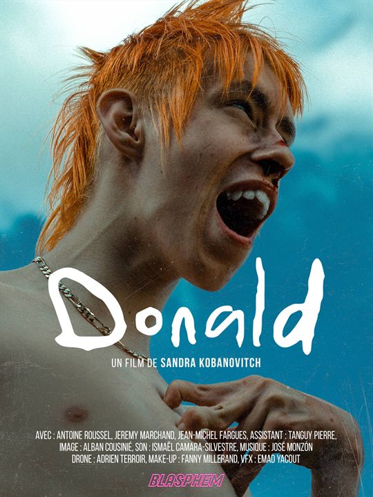 Affiche du court métrage Donald (2025) de Sandra Kobanovitch Affiche du court métrage Donald (2025) de Sandra Kobanovitch. Voir Donald en streaming / torrent sur meilleurs-films.fr