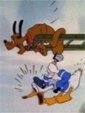 Affiche du court métrage Donald et Pluto (1936) de Walt Disney. Voir Donald et Pluto en streaming / torrent sur meilleurs-films.fr