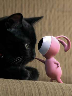 Affiche du court métrage Don’t Go () de Turgut Akacık Affiche du court métrage Don’t Go () de Turgut Akacık. Voir Don’t Go en streaming / torrent sur meilleurs-films.fr