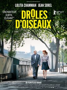 Affiche du film Drôles d’oiseaux (2017) de Élise Girard. Voir Drôles d’oiseaux en streaming / torrent sur meilleurs-films.fr