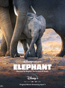 Affiche du film Elephants (2020) de Mark Linfield. Voir Elephants en streaming / torrent sur meilleurs-films.fr