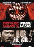 Affiche du film Escape: Human Cargo (1998) de Simon Wincer. Voir Escape: Human Cargo en streaming / torrent sur meilleurs-films.fr