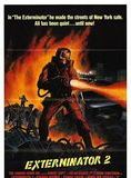 Affiche du film Exterminator II (1985) de Mark Buntzman. Voir Exterminator II en streaming / torrent sur meilleurs-films.fr