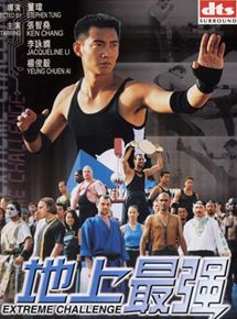 Affiche du film Extreme Challenge (2001) de Wei Tung. Voir Extreme Challenge en streaming / torrent sur meilleurs-films.fr