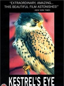 Affiche du film Falkens öga (1998) de Mikael Kristersson. Voir Falkens öga en streaming / torrent sur meilleurs-films.fr