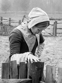 Affiche du film Fanny Lye Deliver’d (2017) de Thomas Clay. Voir Fanny Lye Deliver’d en streaming / torrent sur meilleurs-films.fr