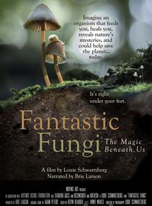 Affiche du film Fantastic Fungi (2019) de Louie Schwartzberg. Voir Fantastic Fungi en streaming / torrent sur meilleurs-films.fr