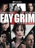 Affiche du film Fay Grim (2006) de Hal Hartley. Voir Fay Grim en streaming / torrent sur meilleurs-films.fr