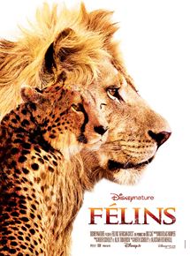 Affiche du film Félins (2011) de Keith Scholey,Alastair Fothergill,. Voir Félins en streaming / torrent sur meilleurs-films.fr