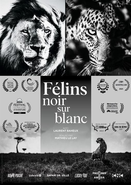 Affiche du court métrage Félins Noir sur Blanc (2025) de Mathieu Le Lay Affiche du court métrage Félins Noir sur Blanc (2025) de Mathieu Le Lay. Voir Félins Noir sur Blanc en streaming / torrent sur meilleurs-films.fr