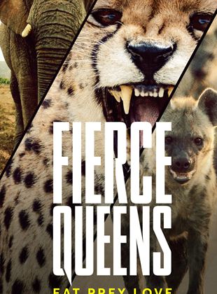 Affiche de la série Fierce Queens (2020) de . Voir Fierce Queens en streaming / torrent sur meilleurs-films.fr