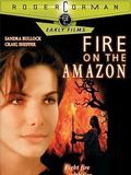 Affiche du film Fire on the Amazon (1993) de Luis Llosa. Voir Fire on the Amazon en streaming / torrent sur meilleurs-films.fr