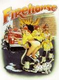 Affiche du film Firehouse (1987) de J. Christian Ingvordsen Affiche du film Firehouse (1987) de J. Christian Ingvordsen. Voir Firehouse en streaming / torrent sur meilleurs-films.fr