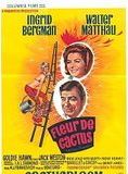 Affiche du film Fleur de cactus (1969) de Gene Saks Affiche du film Fleur de cactus (1969) de Gene Saks. Voir Fleur de cactus en streaming / torrent sur meilleurs-films.fr