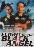 Affiche du film Flight of Black Angel (1991) de Jonathan Mostow. Voir Flight of Black Angel en streaming / torrent sur meilleurs-films.fr