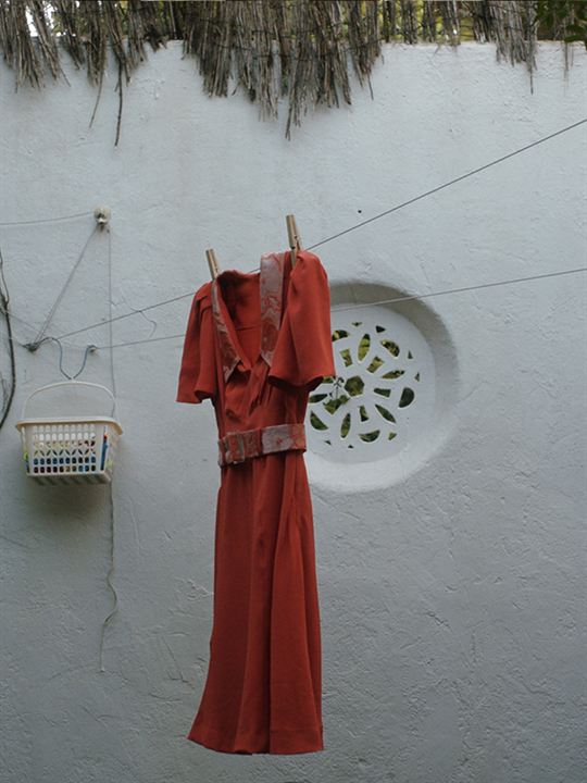 Affiche du court métrage Forastera (short) (2025) de Lucía Aleñar Iglesias. Voir Forastera (short) en streaming / torrent sur meilleurs-films.fr