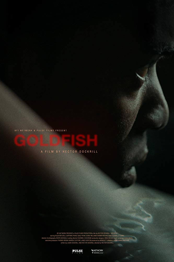 Affiche du court métrage Goldfish (2020) de Hector Dockrill. Voir Goldfish en streaming / torrent sur meilleurs-films.fr