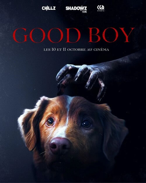 Affiche du film Good Boy (2025) de Ben Leonberg. Voir Good Boy en streaming / torrent sur meilleurs-films.fr