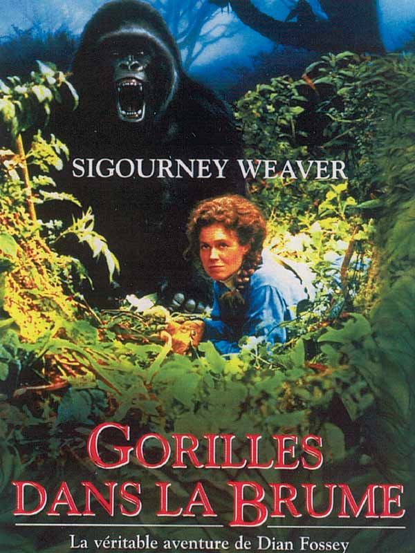 Affiche du film Gorilles dans la brume (1988) de Michael Apted. Voir Gorilles dans la brume en streaming / torrent sur meilleurs-films.fr